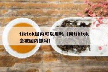 tiktok国内可以用吗（用tiktok会被国内抓吗）