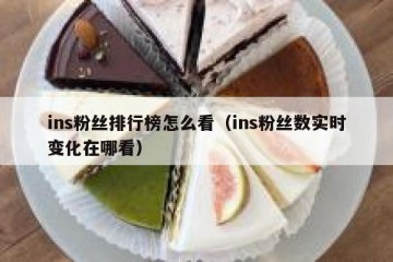 ins粉丝排行榜怎么看（ins粉丝数实时变化在哪看）