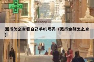 派币怎么查看自己手机号码（派币金额怎么查）