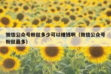 微信公众号粉丝多少可以赚钱啊（微信公众号粉丝最多）
