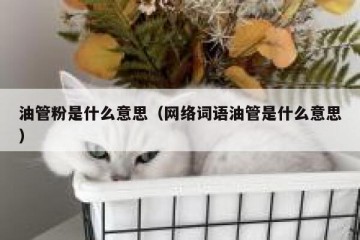 油管粉是什么意思（网络词语油管是什么意思）