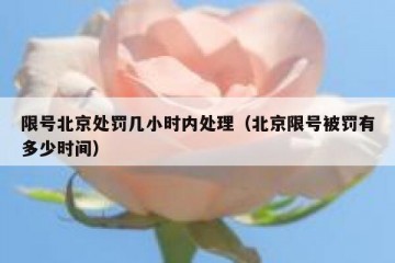 限号北京处罚几小时内处理（北京限号被罚有多少时间）