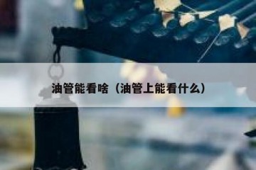 油管能看啥（油管上能看什么）