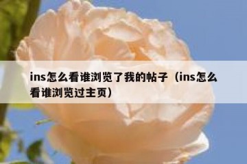 ins怎么看谁浏览了我的帖子（ins怎么看谁浏览过主页）