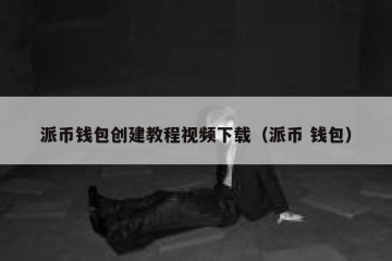 派币钱包创建教程视频下载（派币 钱包）