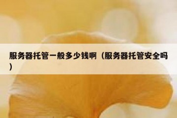 服务器托管一般多少钱啊（服务器托管安全吗）