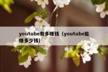 youtube有多赚钱（youtube能赚多少钱）