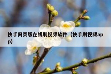 快手网页版在线刷视频软件（快手刷视频app）