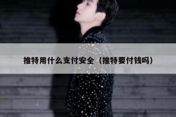 推特用什么支付安全（推特要付钱吗）