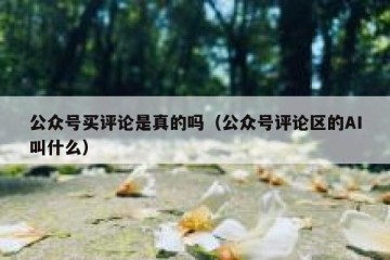 公众号买评论是真的吗（公众号评论区的AI叫什么）