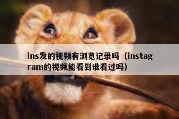 ins发的视频有浏览记录吗（instagram的视频能看到谁看过吗）