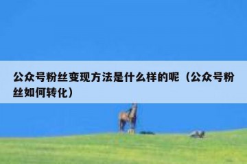 公众号粉丝变现方法是什么样的呢（公众号粉丝如何转化）
