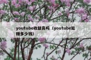 youtube收益高吗（youtube能赚多少钱）