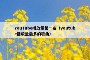 YouTube播放量第一名（youtube播放量最多的歌曲）
