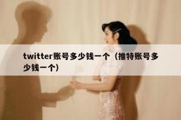 twitter账号多少钱一个（推特账号多少钱一个）