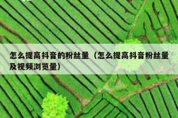 怎么提高抖音的粉丝量（怎么提高抖音粉丝量及视频浏览量）