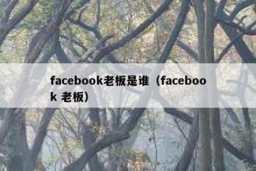 facebook老板是谁（facebook 老板）