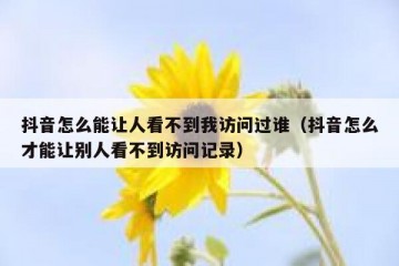 抖音怎么能让人看不到我访问过谁（抖音怎么才能让别人看不到访问记录）