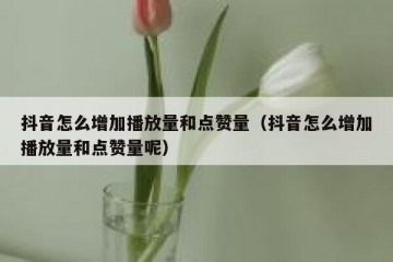 抖音怎么增加播放量和点赞量（抖音怎么增加播放量和点赞量呢）