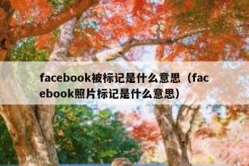 facebook被标记是什么意思（facebook照片标记是什么意思）