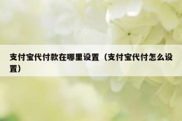 支付宝代付款在哪里设置（支付宝代付怎么设置）