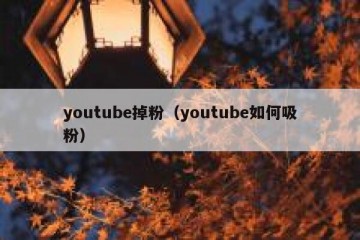youtube掉粉（youtube如何吸粉）