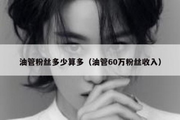 油管粉丝多少算多（油管60万粉丝收入）