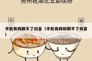 手机有网刷不了抖音（手机有网却刷不了抖音）