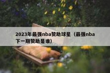2023年最强nba赞助球星（最强nba下一期赞助是谁）