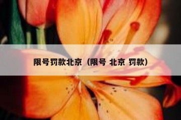 限号罚款北京（限号 北京 罚款）