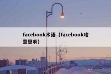 facebook术语（facebook啥意思啊）