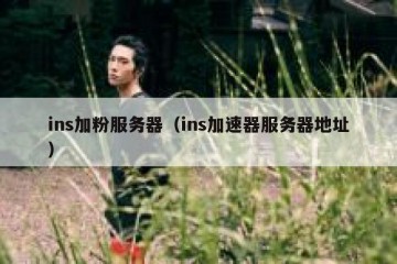 ins加粉服务器（ins加速器服务器地址）