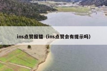 ins点赞报错（ins点赞会有提示吗）