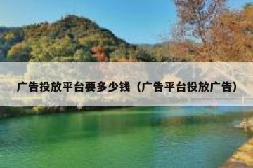广告投放平台要多少钱（广告平台投放广告）