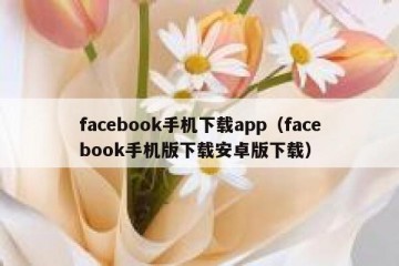 facebook手机下载app（facebook手机版下载安卓版下载）