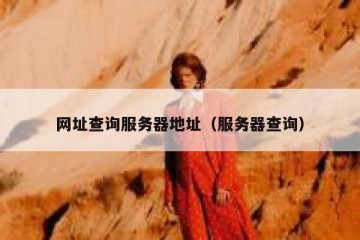 网址查询服务器地址（服务器查询）