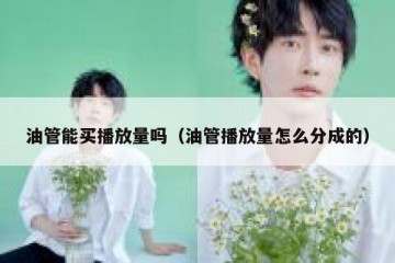 油管能买播放量吗（油管播放量怎么分成的）