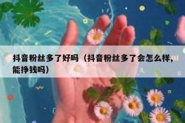 抖音粉丝多了好吗（抖音粉丝多了会怎么样,能挣钱吗）