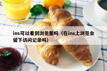 ins可以看到浏览量吗（在ins上浏览会留下访问记录吗）