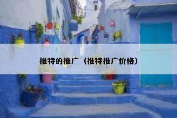 推特的推广（推特推广价格）