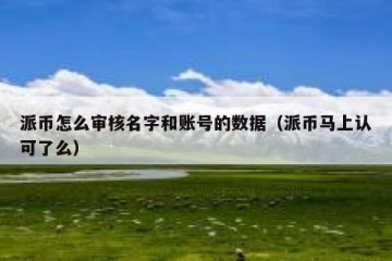 派币怎么审核名字和账号的数据（派币马上认可了么）