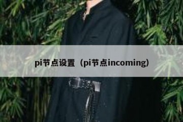pi节点设置(pi节点incoming)