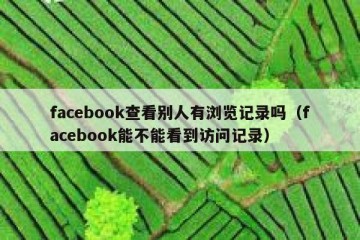 facebook查看别人有浏览记录吗（facebook能不能看到访问记录）
