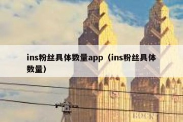 ins粉丝具体数量app（ins粉丝具体数量）