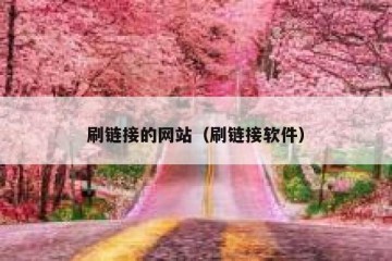 刷链接的网站（刷链接软件）