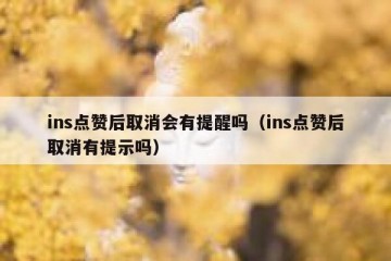ins点赞后取消会有提醒吗（ins点赞后取消有提示吗）