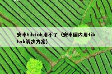 安卓tiktok用不了（安卓国内用tiktok解决方案）