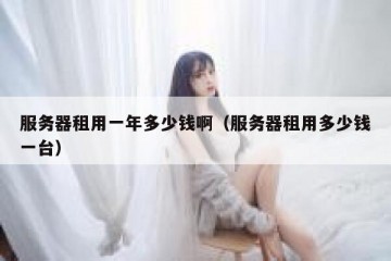 服务器租用一年多少钱啊（服务器租用多少钱一台）