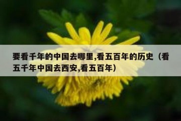 要看千年的中国去哪里,看五百年的历史（看五千年中国去西安,看五百年）