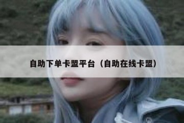 自助下单卡盟平台（自助在线卡盟）
